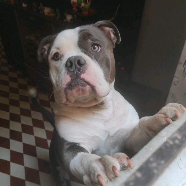 Profile Picture of Paul Arakaki Arakaki (@paul420xd) on Tiktok