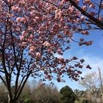 Profile Picture of JoAnn Convery (@joannconvery) on Instagram