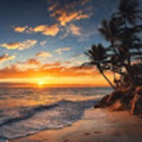 Profile Picture of Julia Whalen (@julia-whalen-16) on Quora