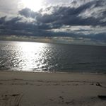 Profile Picture of Adam Malerman (@adammalerman) on Instagram