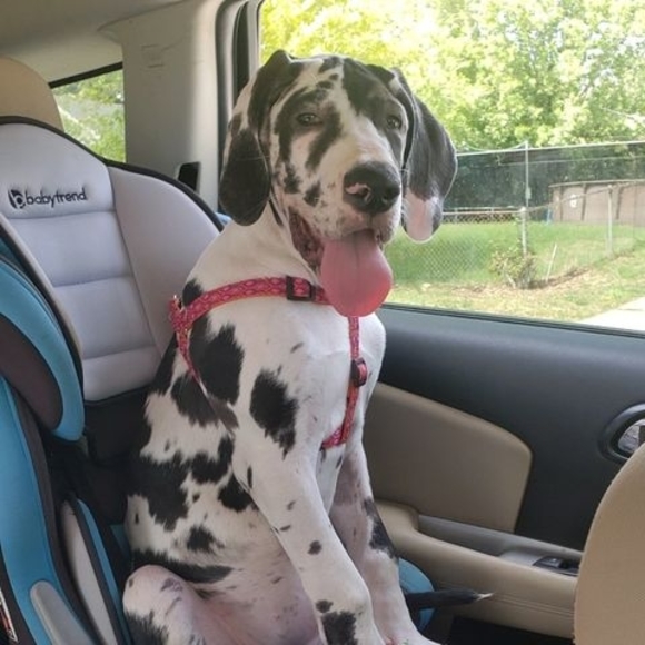 Profile Picture of Jae Blyseth-eddins (@musicmind77) on Poshmark