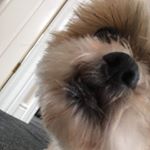 Profile Picture of Luke (@luke._.durrant) on Instagram