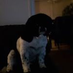 Profile Picture of James Hollett (@james.hollett.39) on Instagram