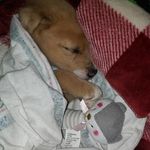 Profile Picture of Kylee Nichols (@kyleenichols219) on Instagram