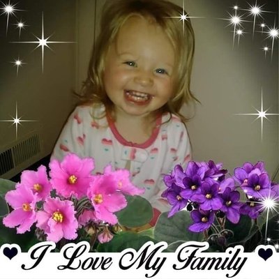 Profile Picture of Diane McCardell Clouse (@DianeMccardell) on Twitter