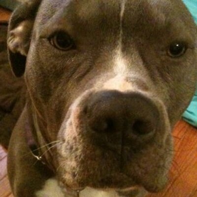 Profile Picture of John M Cathers (@jc_bama) on Twitter