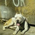 Profile Picture of Cesar Colchado Ramirez (@colchadoramirez) on Instagram