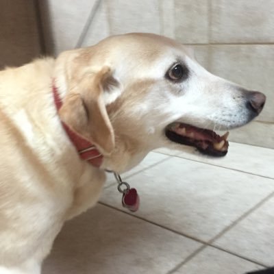 Profile Picture of Sean O'Mahony (@Sean88O) on Twitter