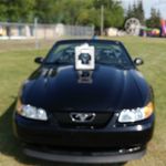 Profile Picture of Gary Farkas (@farkasgary9) on Instagram