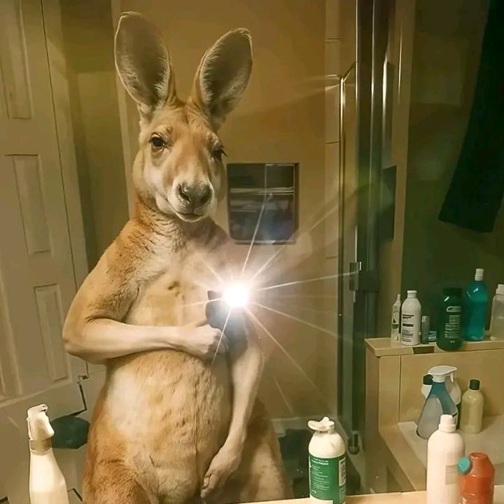 Profile Picture of Stevan Aramburo (@stevan.aramburo) on Tiktok