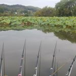 Profile Picture of 김문수 (@kimmunsu001) on Instagram