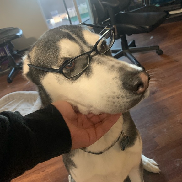 Profile Picture of Jonathan Mota (@motapocalypse98) on Poshmark