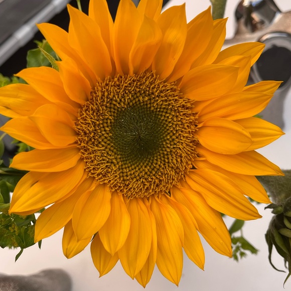 S Caire - Poshmark Profile Picture of S Caire (@stephaniecaire) on Poshmark