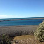 Profile Picture of Matthew Marshall (@mattwarriors15) on Instagram