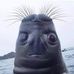 Profile Picture of David Pretzel (@david.pretzel.92) on Facebook