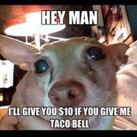 Profile Picture of Adrian Valladares (@adrian-valladares) on Quora