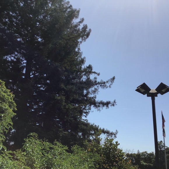 Profile Picture of Katie & nola Sikkema (@nlouisesikkema) on Poshmark