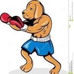 Profile Picture of Jerry VanHoose (@vanhoosej821) on Instagram