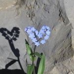 Profile Picture of Anielle Valencia (@aniellevalencia) on Instagram