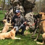 Profile Picture of Rich Pillinger, Fix The Dog (@pawsitive_dogtraining) on Instagram