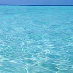 Profile Picture of Ross_Batchelor (@ross_batchelorv) on Instagram