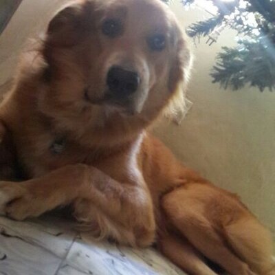 Profile Picture of Isaac Portillo (@Isaacp1233) on Twitter