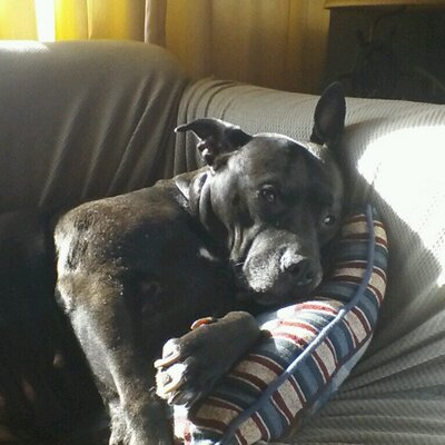 Profile Picture of Wade Glisson (@wadehool) on Twitter