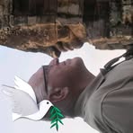 Profile Picture of Howard Park (@Howard-Park) on Facebook