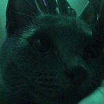 Profile Picture of Jacob Milnes (@jacob.milnes) on Instagram