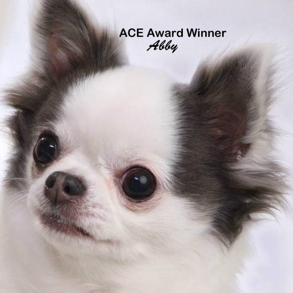 Profile Picture of Cathy Albrecht (@aceawardabby) on Poshmark