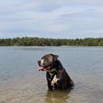 Carlo Capobianco - Instagram Profile Picture of Carlo Capobianco (@capobianco7035) on Instagram