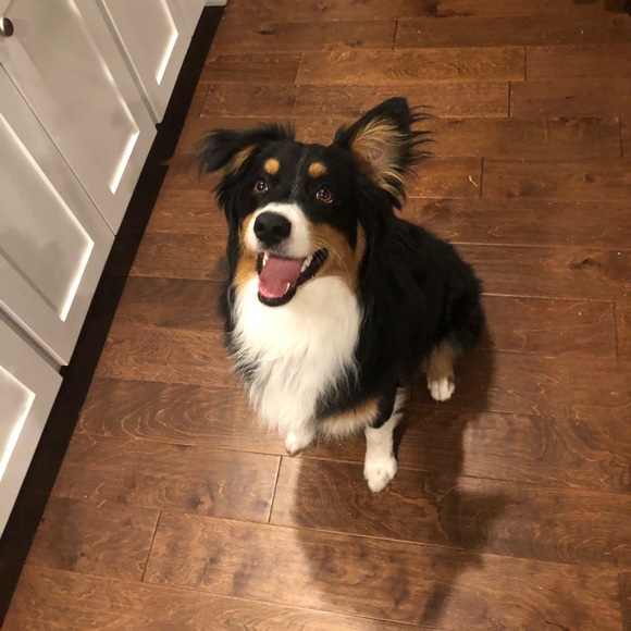 Profile Picture of Faith Golleher (@faithgolleher10) on Poshmark