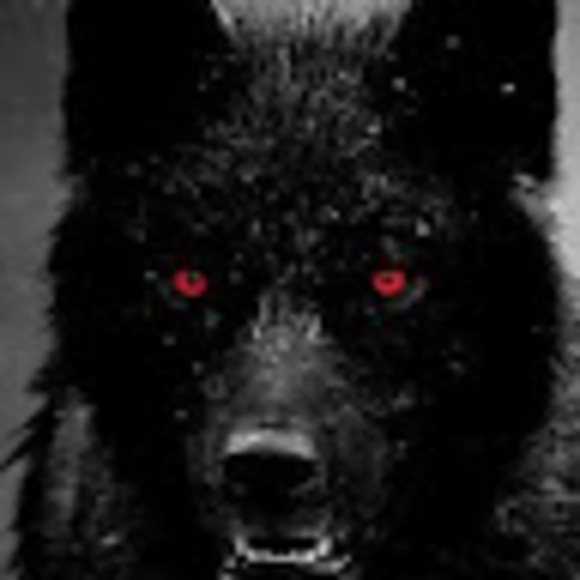 Profile Picture of Christian Coseo (@coseochristian) on Poshmark