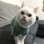 Profile Picture of Nicholas Chen (@zanzan_chen) on Instagram