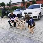 Profile Picture of   ☆Alexa☆ (@alexa.ortiz2804)... (@alexa.ortiz2804) on Tiktok