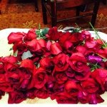 Profile Picture of Syeda Fatima Muhammad (@fatima8672) on Instagram
