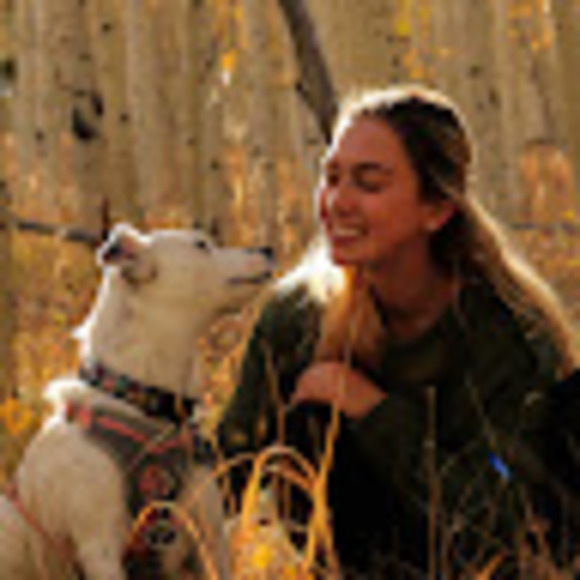 Profile Picture of Danielle Knisely (@dkballet) on Poshmark