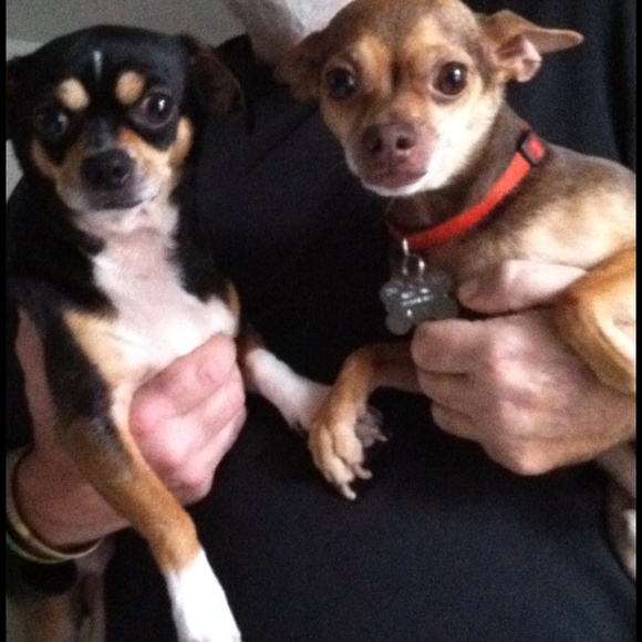 Profile Picture of Caron Evrard (@caronspfld) on Poshmark