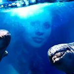 Profile Picture of Donna Luckey (@luckeydonna) on Instagram