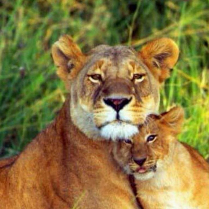 Profile Picture of Angelo GRIMALDI34 (@angelogrimaldi5) on Tiktok