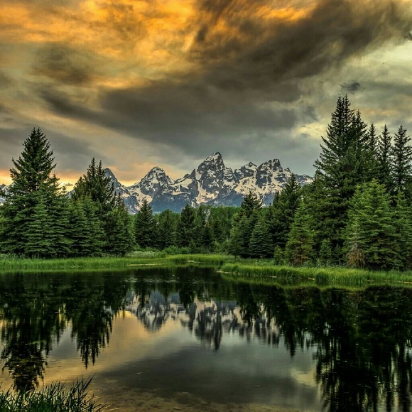 Profile Picture of Jaime Hornecker (@jmebob) on Poshmark