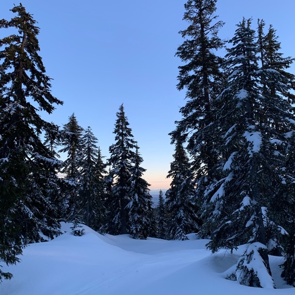 Profile Picture of Olenna Mcconville szakos (@purpledragonpaw) on Poshmark