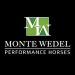 Profile Picture of Monte Wedel Performance Horses (@mwperformancehorses) on Instagram