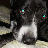 Profile Picture of Paul Strasser (@paul-strasser-7) on Quora