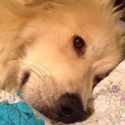 Profile Picture of Jami Nelson (@DoppestJami) on Twitter