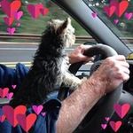 Profile Picture of Jerry Fields (@jerry.fields.9678) on Instagram