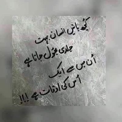 Profile Picture of Salma Rehan Ansari 🌹 (@SalmaRehan1) on Twitter