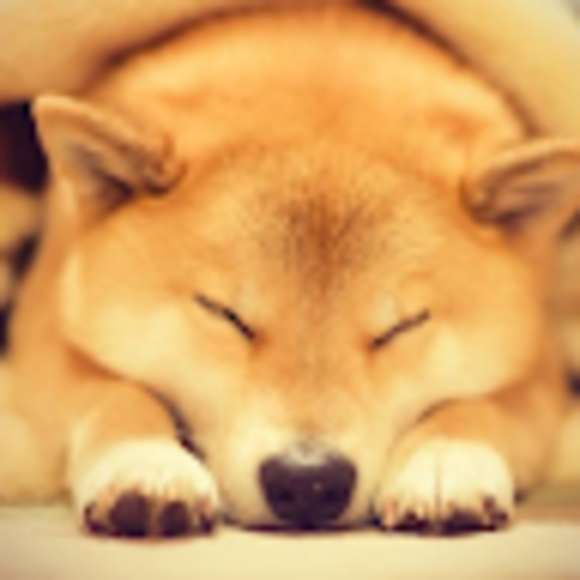 Profile Picture of El Smith (@cortty7891) on Poshmark