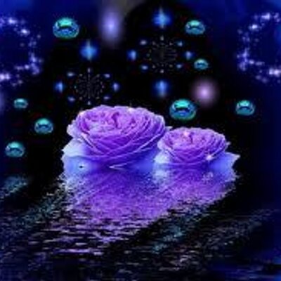 Profile Picture of Kimberly Temple (@kimtemple41) on Twitter