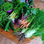 Profile Picture of Carlos Jaidar Manresa (@grow_your_own_food_its_free) on Instagram